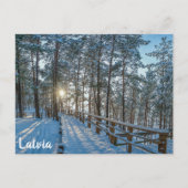 Carte Postale Chemin en bois sur la forêt d'hiver enneigée (Devant)