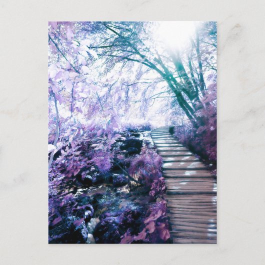 Carte Postale chemin enchanté (Devant)