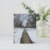 Carte Postale Chemin enneigé (Debout devant)