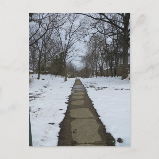 Carte Postale Chemin enneigé (Devant)