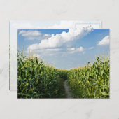 Carte Postale Chemin entre le champ de Corn (Devant / Derrière)