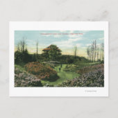 Carte Postale Chemin et pavillon Rhododendron de Highland Park (Devant)