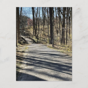 Carte postale Chemin et Pont de marche