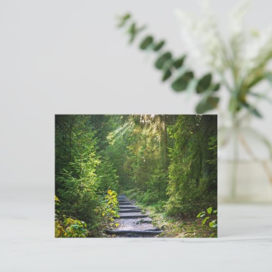 Carte Postale Chemin forestier 1 enchanté (Debout devant)