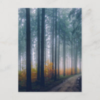 Chemin forestier Majestic