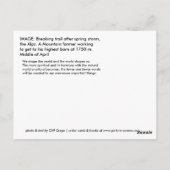 CARTE POSTALE CHEMIN HIVER (Dos)