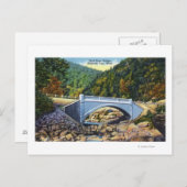 Carte Postale Chemin Mohawk Vue du pont de Cold River (Devant / Derrière)