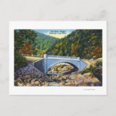 Carte Postale Chemin Mohawk Vue du pont de Cold River (Devant)