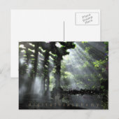 Carte postale Chemin ombragé (été) (Devant / Derrière)