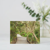 Carte Postale Chemin, Réserve nationale de faune de l'île Merrit (Debout devant)