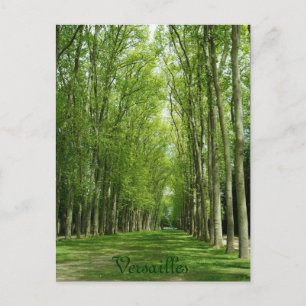 Carte Postale Chemin romantique France de jardins d'arbres de