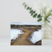 Carte Postale Chemin secret (Debout devant)