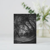 Carte Postale Chemin sombre (Debout devant)