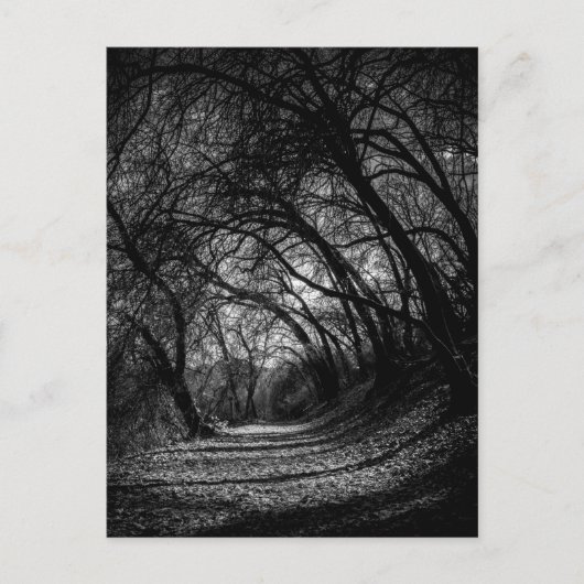 Carte Postale Chemin sombre (Devant)