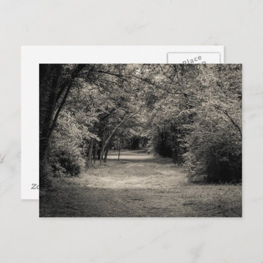 Carte Postale Chemin vers l'inconnu (Devant / Derrière)