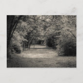 Carte Postale Chemin vers l'inconnu (Devant)