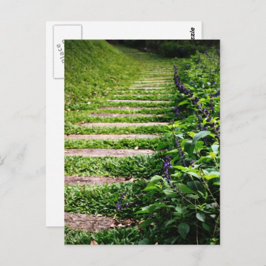 Carte Postale Chemin Vert (Devant / Derrière)