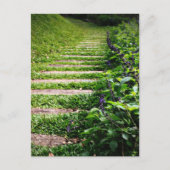 Carte Postale Chemin Vert (Devant)