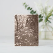 Carte Postale Chemin Woods—Sepia (Debout devant)