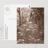 Carte Postale Chemin Woods—Sepia (Devant / Derrière)