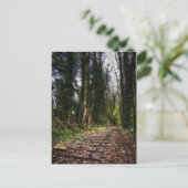 Carte Postale Chemins de fer abandonnés HDR (Debout devant)