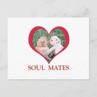 Carte Postale Chemises, Cartes, Tasses pour Âmes Sœurs