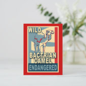 Carte Postale Chemises d'art de la pop pop pop chameau Bactrian  (Debout devant)