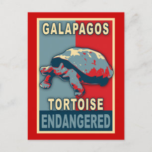 Carte Postale Chemises T-Shirt Art Pop Tortue des Galapagos en v