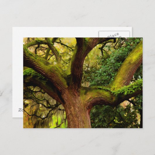 Carte Postale Chêne (Devant / Derrière)