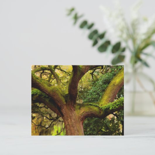 Carte Postale Chêne (Debout devant)