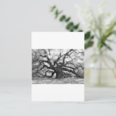 Carte Postale Chêne Angel (Debout devant)