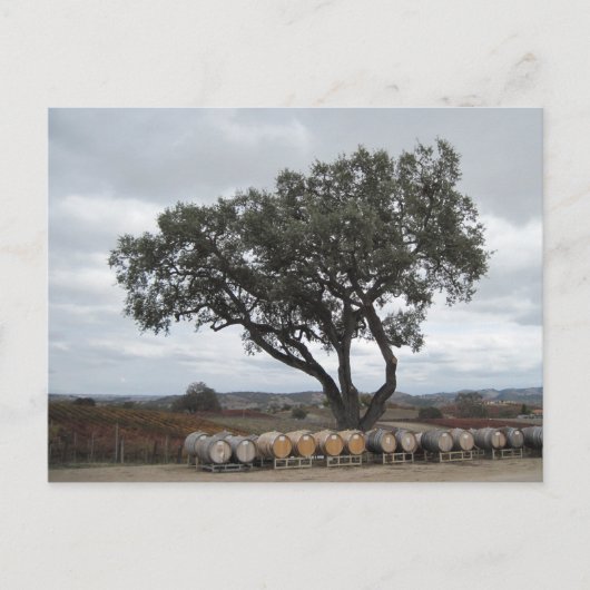 Carte Postale Chêne avec tonneaux de vin, Robles de chien (Devant)