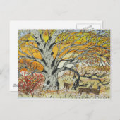 Carte Postale Chêne blanc et Whitetails (Devant / Derrière)