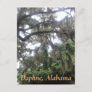 Carte Postale Chêne couvert de mousse espagnole à Daphne, Alabam
