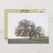 CARTE POSTALE - Chêne oublié (Devant / Derrière)
