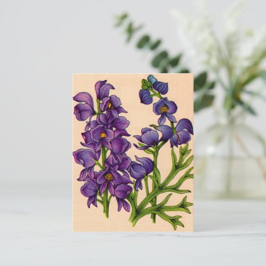 Carte Postale chêne pourpre (Debout devant)