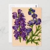 Carte Postale chêne pourpre (Devant / Derrière)