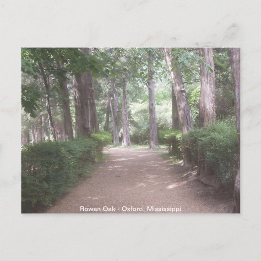Carte Postale Chêne Rowan (Devant)