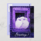 Carte Postale CHÈQUES BLANCHES À LA FENÊTRE bleu violet (Devant / Derrière)