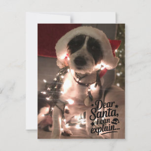 Carte Postale Cher Père Noël, je peux expliquer (chien)