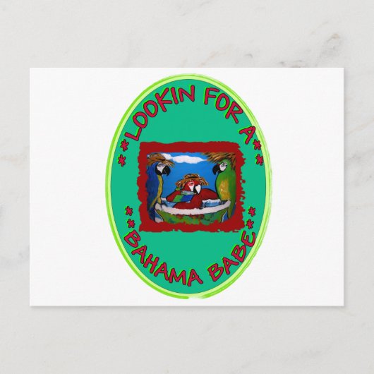 CARTE POSTALE CHERCHE UNE BAHAMA BABE (Devant)