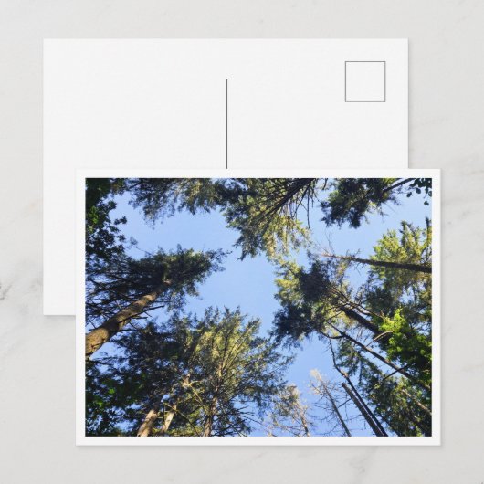 Carte Postale Chercher (Devant / Derrière)