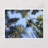 Carte Postale Chercher (Devant)