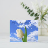Carte postale Chercher Dieu blanc Tulipe bleu ciel (Debout devant)