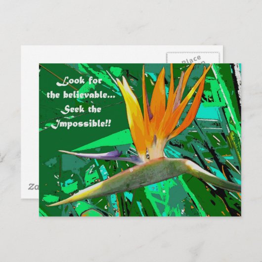 Carte Postale Cherchez... (Devant / Derrière)