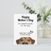 Carte Postale Cherchez Sur Vous Funny Mothers Day PostCard De Ch (Debout devant)