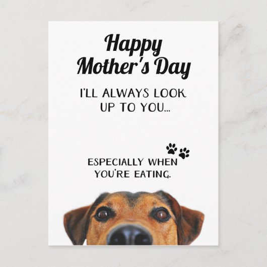 Carte Postale Cherchez Sur Vous Funny Mothers Day PostCard De Ch (Devant)