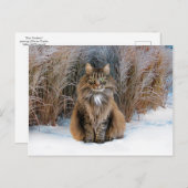 Carte postale "Chère Prudence" (Devant / Derrière)