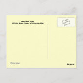 Carte Postale Cherokee Rose (Dos)