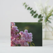 Carte Postale Cherry Blossom  (Debout devant)